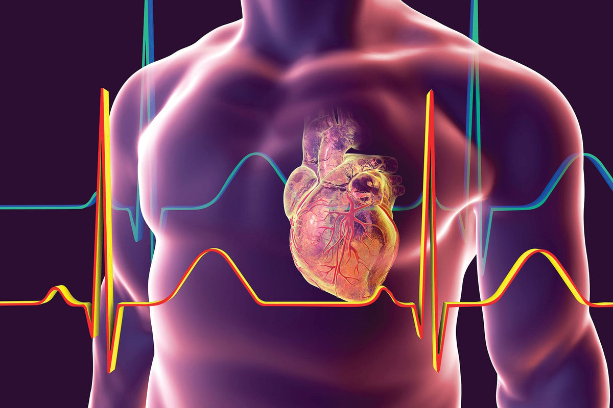 Cardiology books