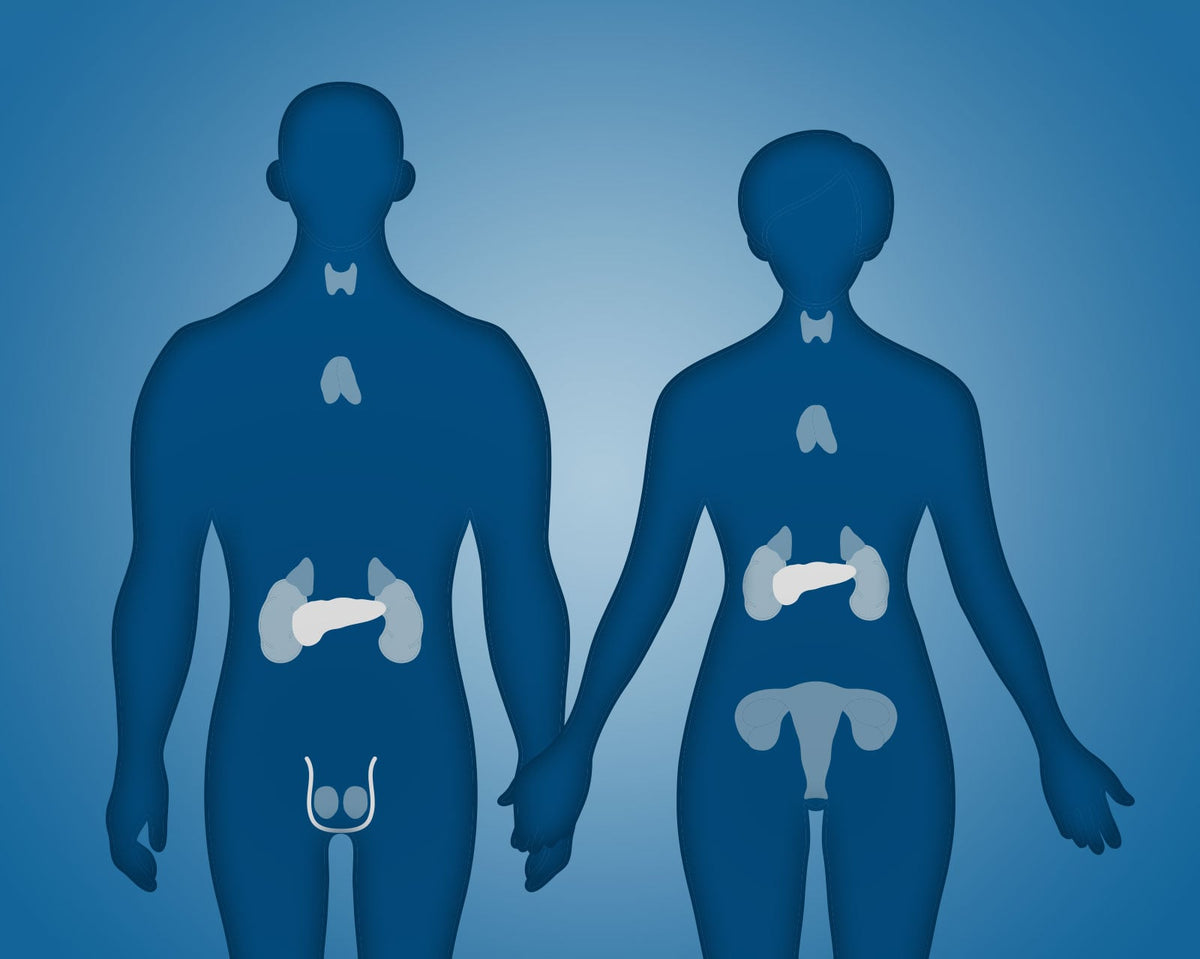 Endocrine and Nutrition COURSES