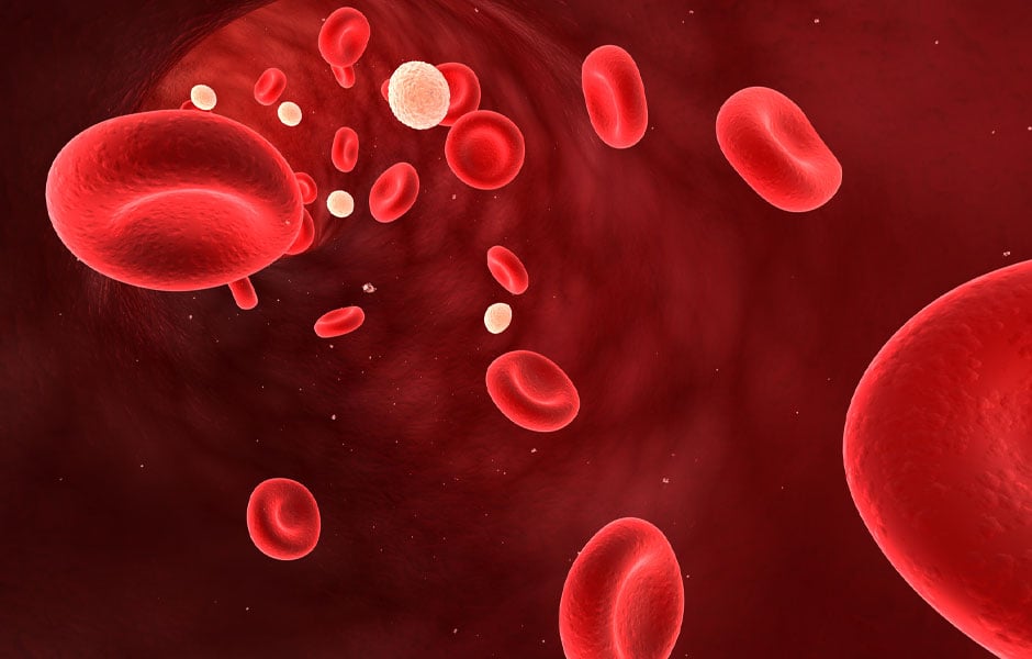 Hematology / Oncology