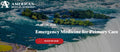 American Medical Seminars Emergency Medicine for Primary Care 2026